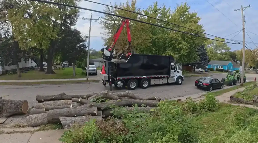 Home 2 Efficient tree removal service using crane in Valdosta GA