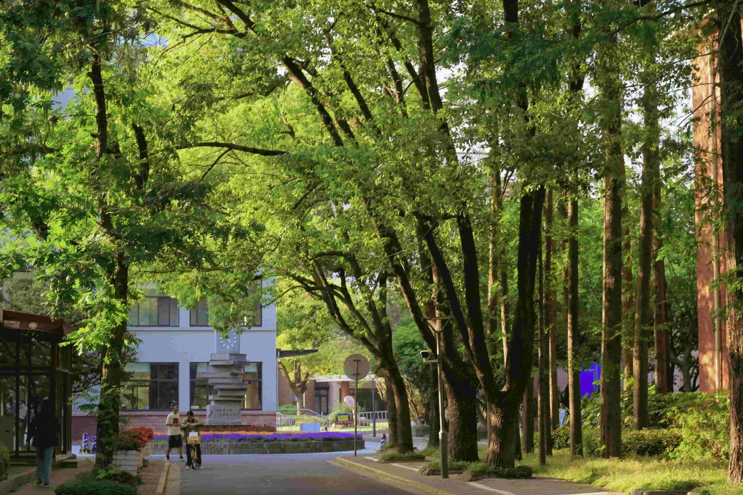 Tree Service Lakeland GA 1 tree service valdosta ga hero 1 1