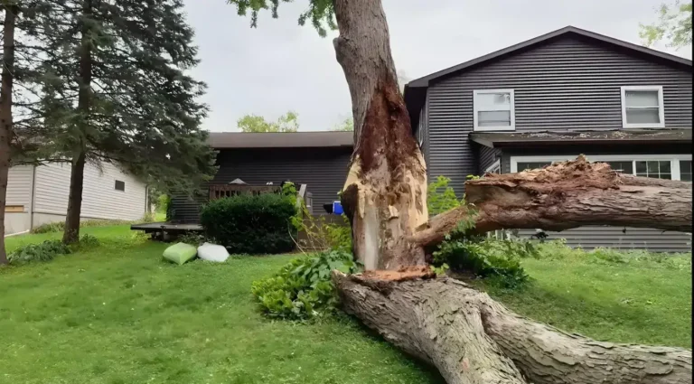 Large broken tree crashed in front of house - emergency tree service Valdosta Georgia