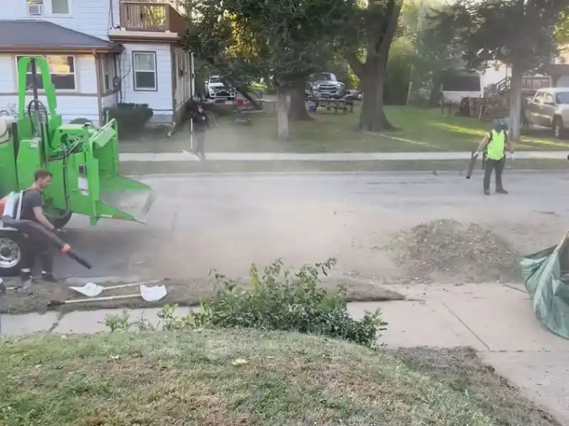 Home 6 Tree trimming and maintenance service in public area