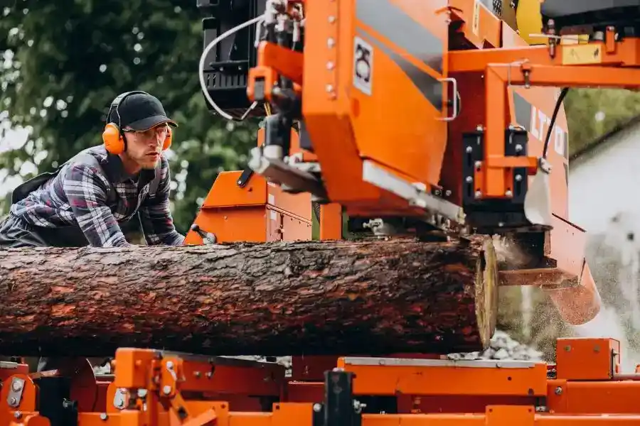 Worker in ear protection operating mobile bandsaw mill to convert hardwood trunk into boards