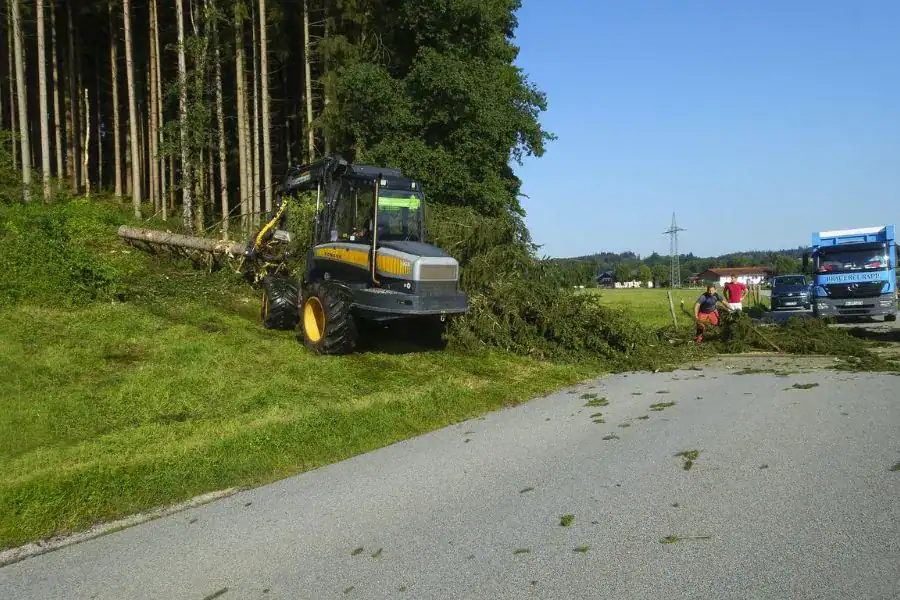 Storm Cleanup Valdosta GA 2 Storm cleanup before and after showing fallen tree blocking road and complete