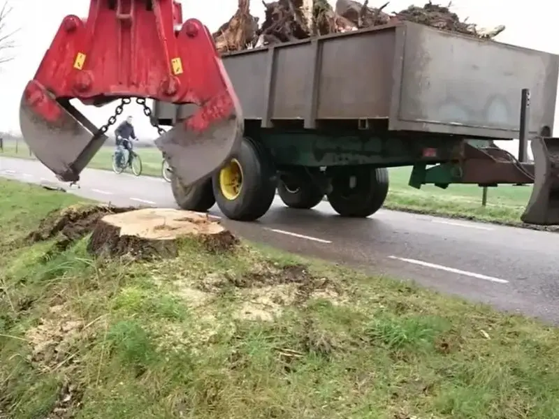 Stump Grinding Valdosta GA 2 Commercial stump removal service truck loaded with professional grinding
