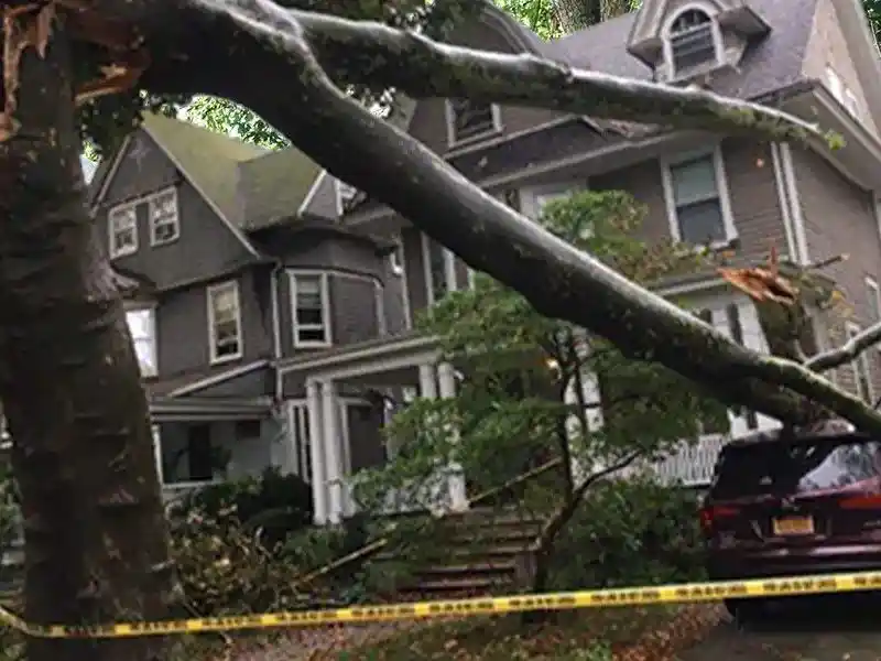 Home 9 Tree removal service near residential building with specialized equipment