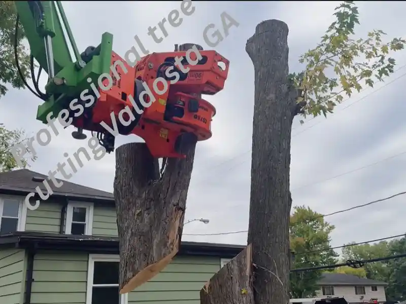 tree-cutting-valdosta-ga 1 Professional tree removal service in Valdosta GA ensuring safety and cleanup