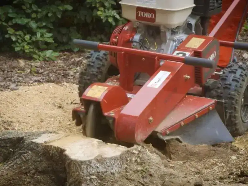 Stump Grinding Valdosta GA 5 Orange wood chipper and stump grinding service creating mulch from tree stump